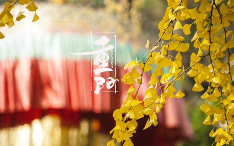 金秋送爽，心暖重陽(yáng)。祝您重陽(yáng)愉快，闔家歡樂(lè)，福壽安康！